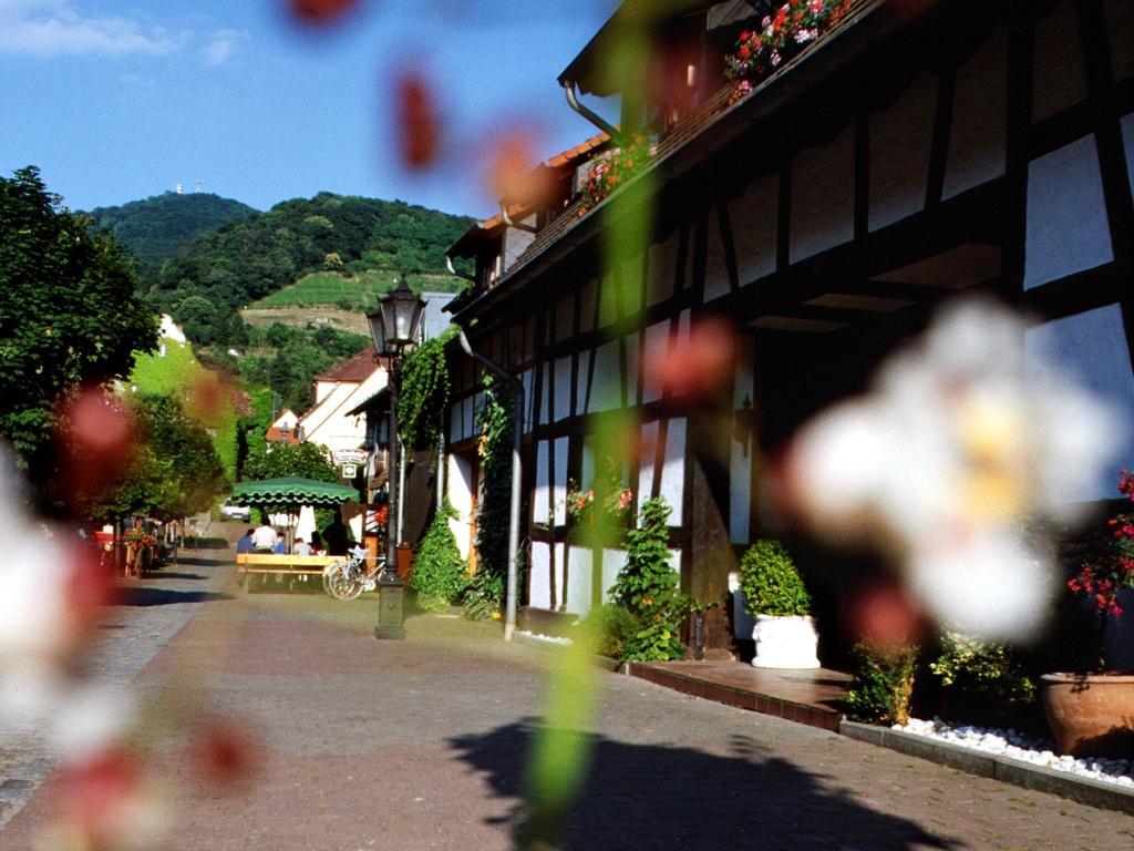 Hotel Garni Zur Bergstrasse Zwingenberg  Buitenkant foto